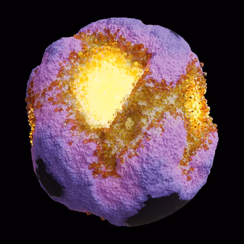 Asm Gen Ii Brains
