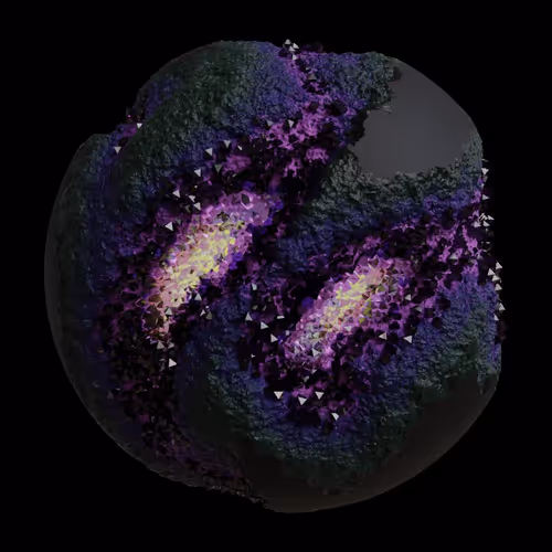 Asm Gen Ii Brains