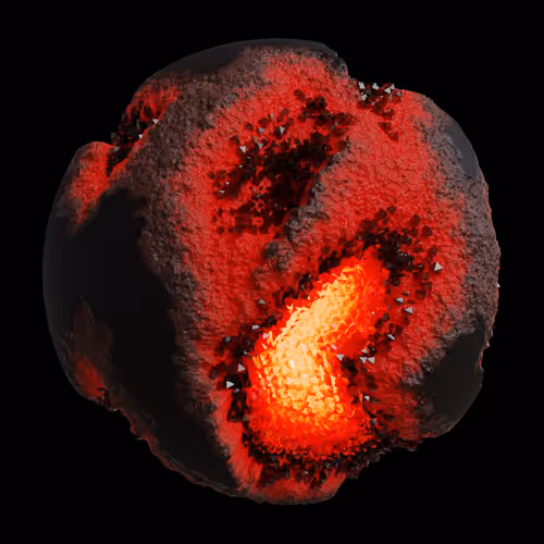 Asm Gen Ii Brains