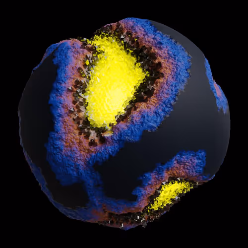 Asm Gen Ii Brains