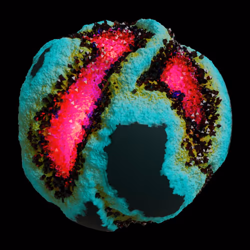 Asm Gen Ii Brains