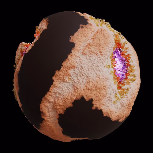 Asm Gen Ii Brains
