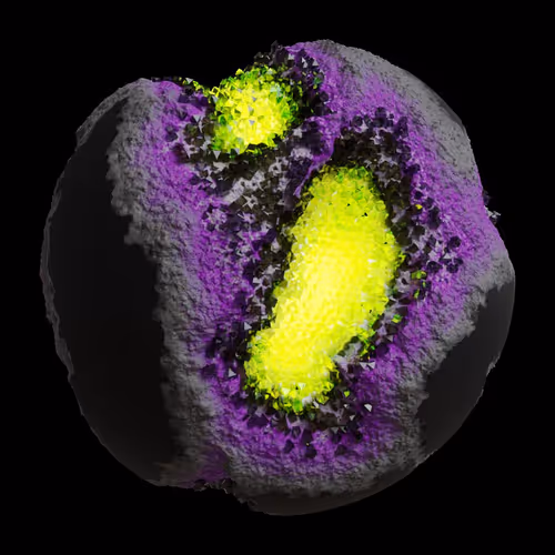 Asm Gen Ii Brains