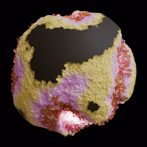 Asm Gen Ii Brains