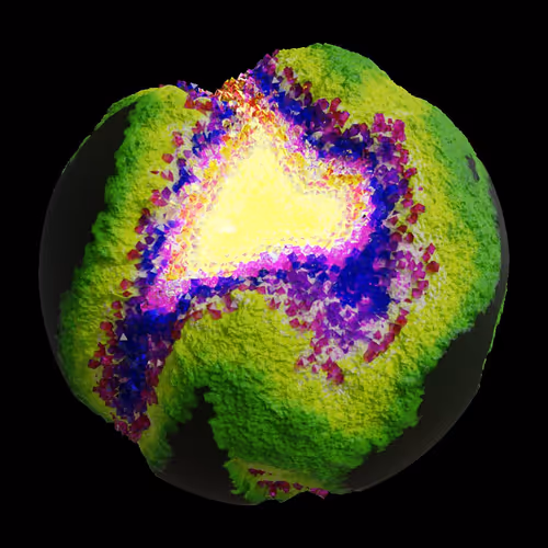 Asm Gen Ii Brains