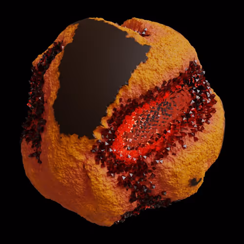 Asm Gen Ii Brains