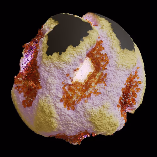 Asm Gen Ii Brains