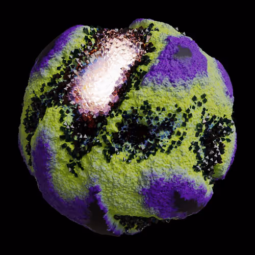 Asm Gen Ii Brains
