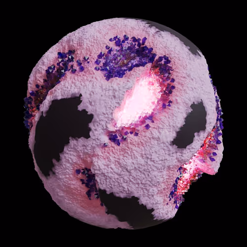 Asm Gen Ii Brains