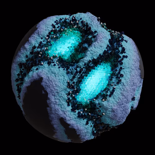 Asm Gen Ii Brains