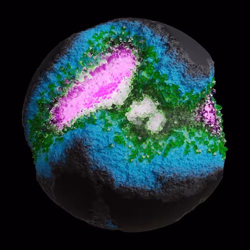 Asm Gen Ii Brains