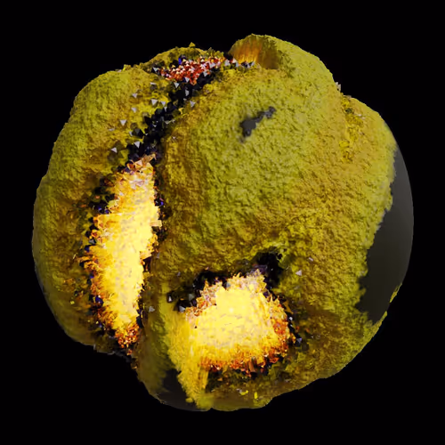 Asm Gen Ii Brains