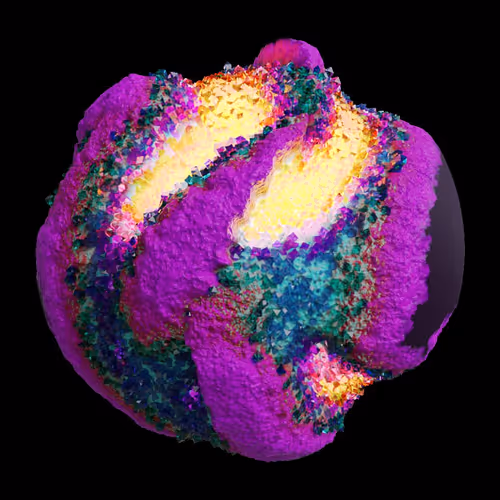Asm Gen Ii Brains