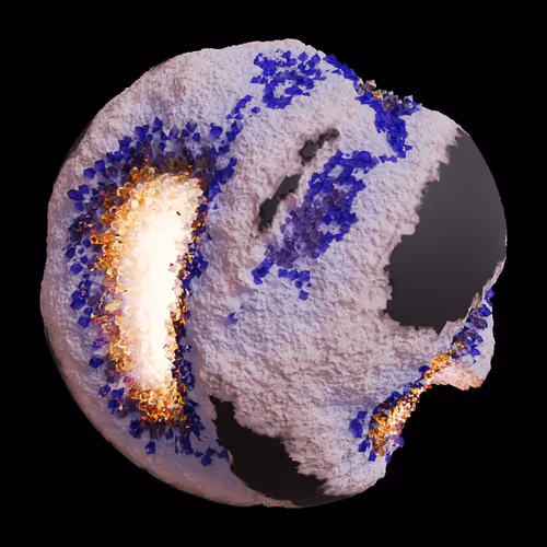 Asm Gen Ii Brains