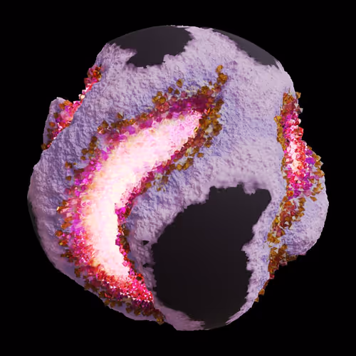 Asm Gen Ii Brains