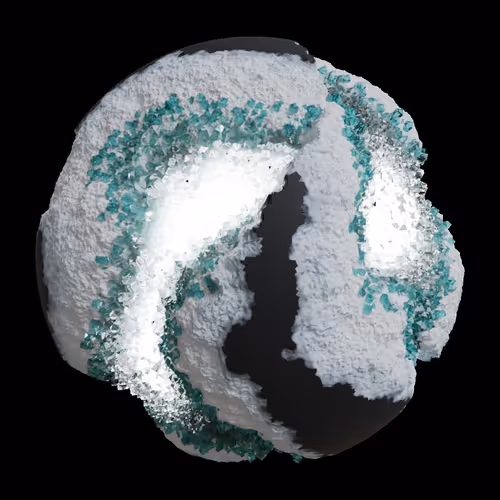 Asm Gen Ii Brains