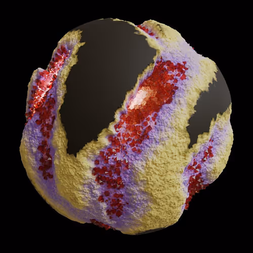 Asm Gen Ii Brains