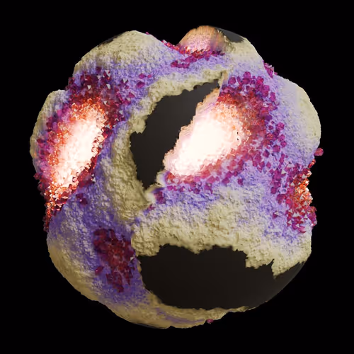 Asm Gen Ii Brains