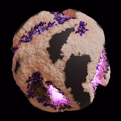 Asm Gen Ii Brains