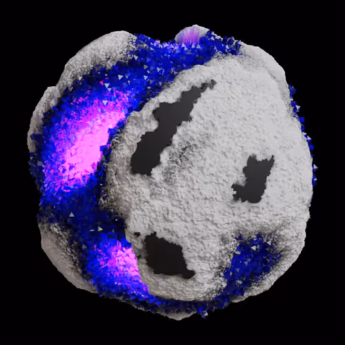 Asm Gen Ii Brains