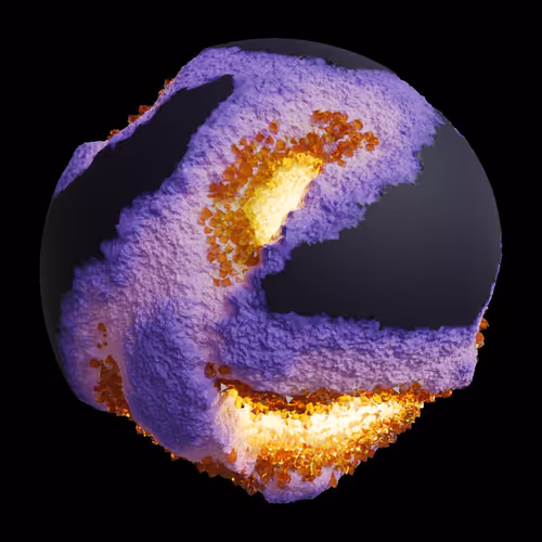 Asm Gen Ii Brains