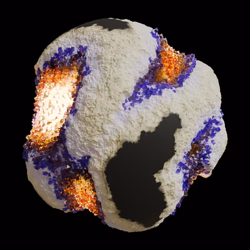 Asm Gen Ii Brains