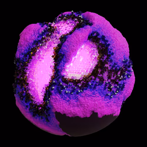 Asm Gen Ii Brains