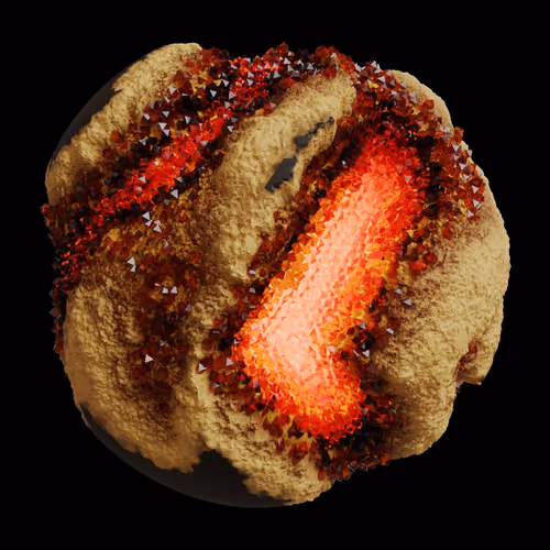 Asm Gen Ii Brains