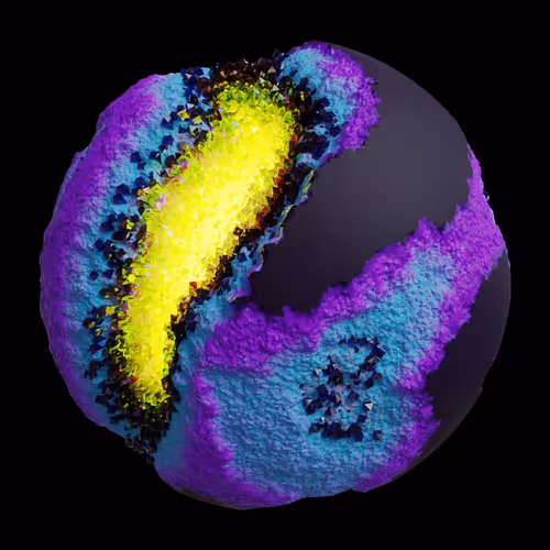 Asm Gen Ii Brains