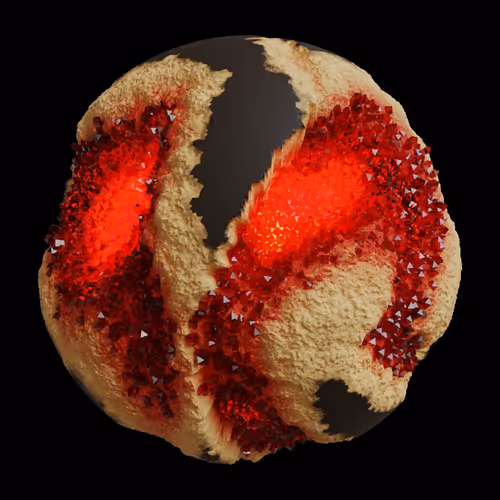 Asm Gen Ii Brains