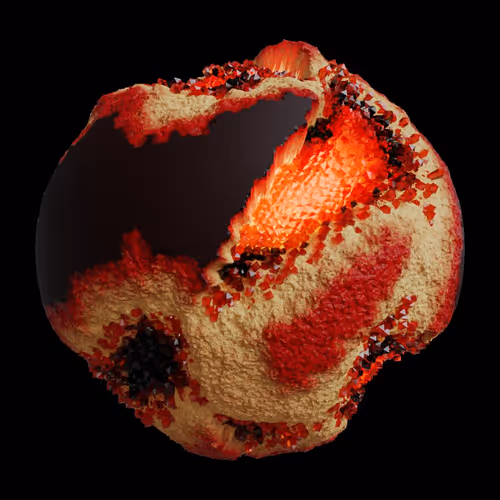Asm Gen Ii Brains