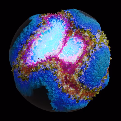 Asm Gen Ii Brains