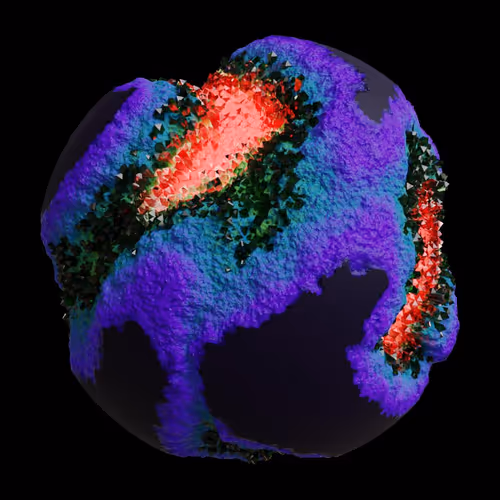 Asm Gen Ii Brains