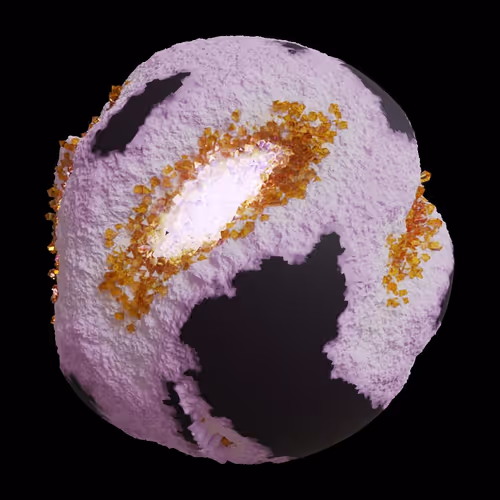 Asm Gen Ii Brains