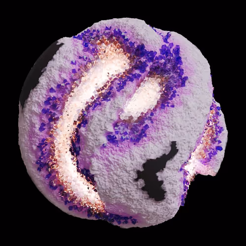 Asm Gen Ii Brains