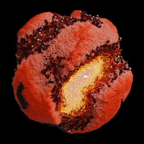 Asm Gen Ii Brains