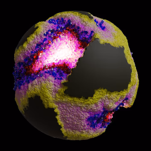 Asm Gen Ii Brains