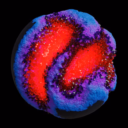 Asm Gen Ii Brains