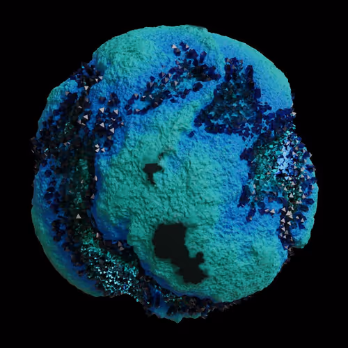 Asm Gen Ii Brains