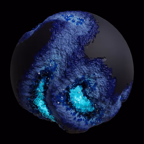 Asm Gen Ii Brains