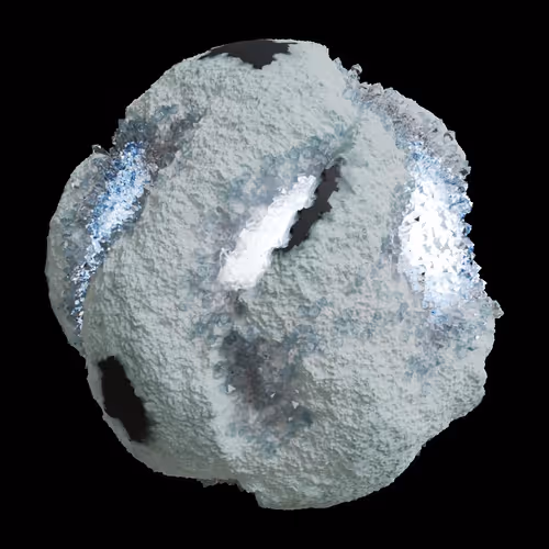 Asm Gen Ii Brains
