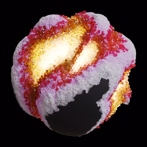 Asm Gen Ii Brains