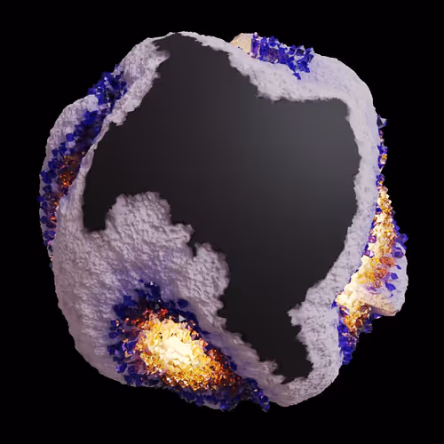 Asm Gen Ii Brains