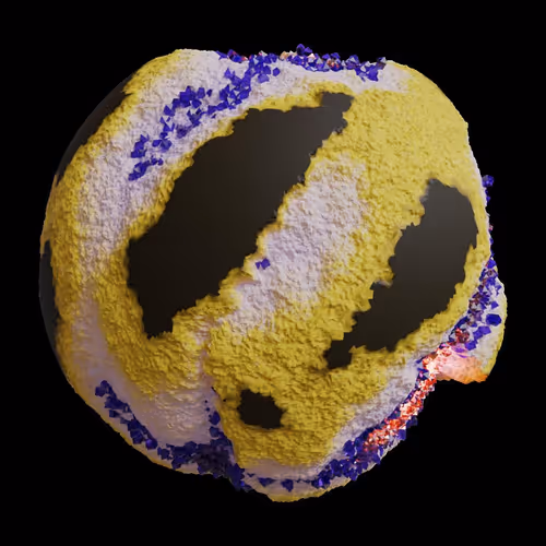 Asm Gen Ii Brains
