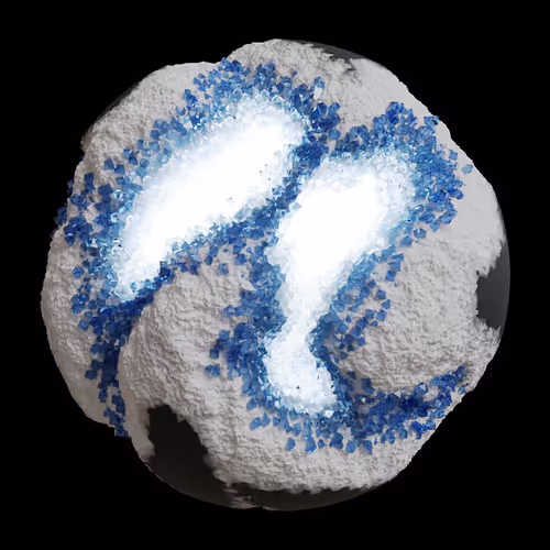 Asm Gen Ii Brains