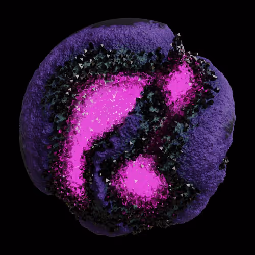 Asm Gen Ii Brains