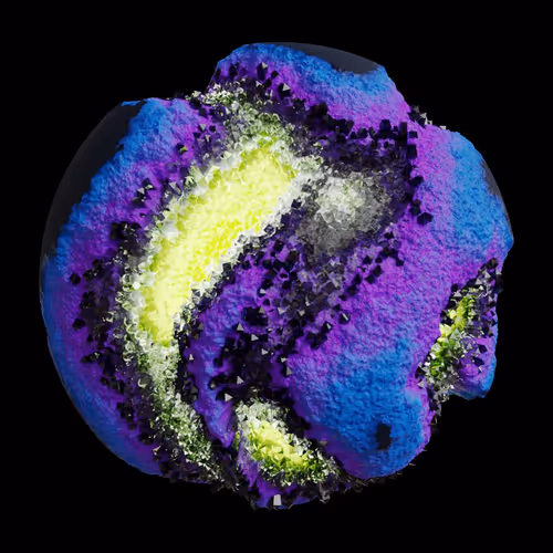 Asm Gen Ii Brains