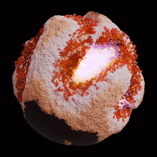 Asm Gen Ii Brains