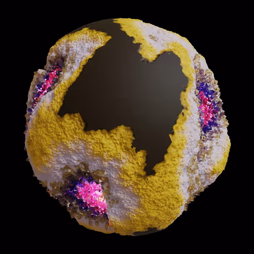 Asm Gen Ii Brains