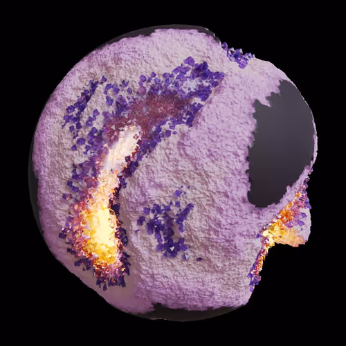 Asm Gen Ii Brains